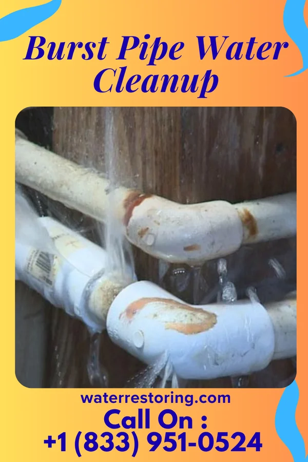 Burst Pipe Water Cleanup in Ohiopyle, PA