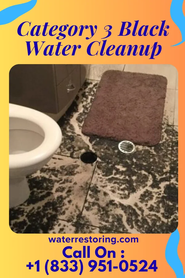Category 3 Black Water Cleanup in Ohiopyle, PA