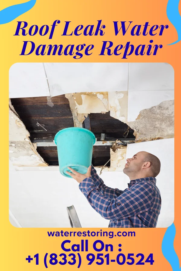 Roof Leak Water Damage Repair in Ohiopyle, PA