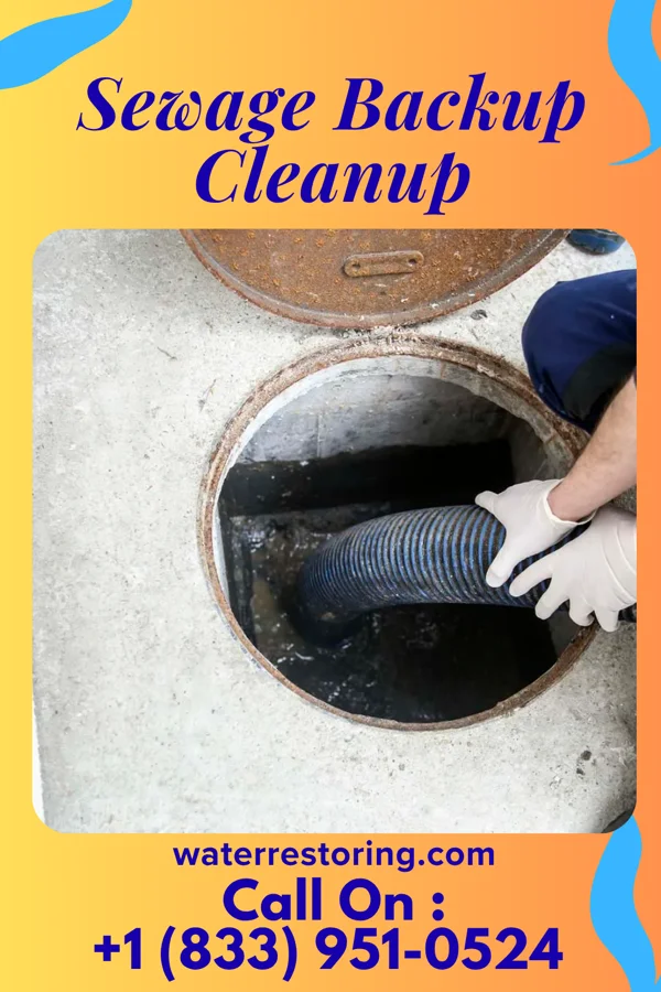Sewage Backup Cleanup in Ohiopyle, PA