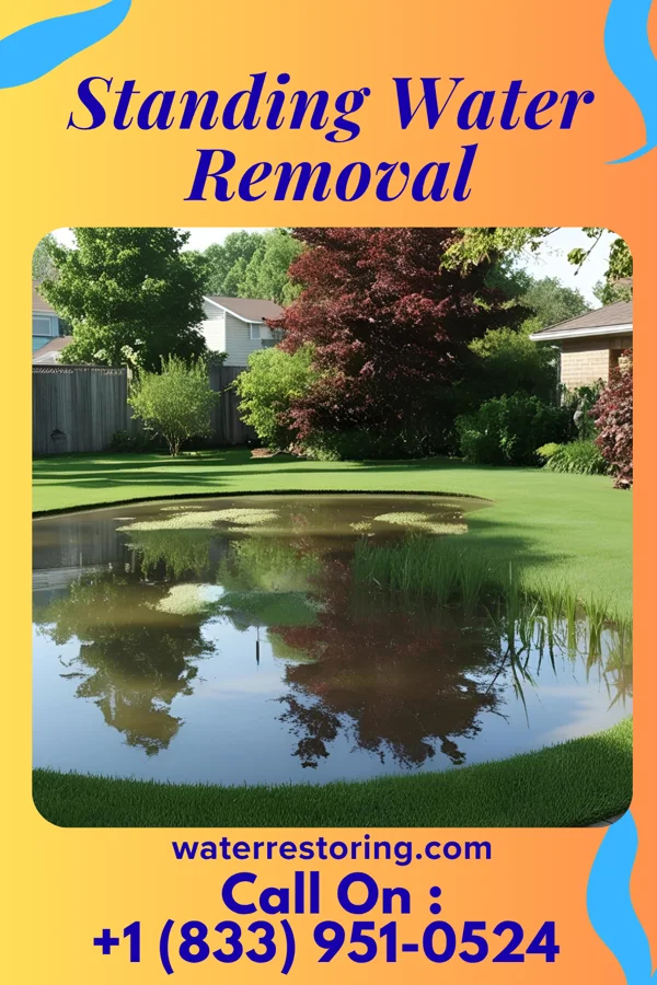 Standing Water Removal in Ohiopyle, PA